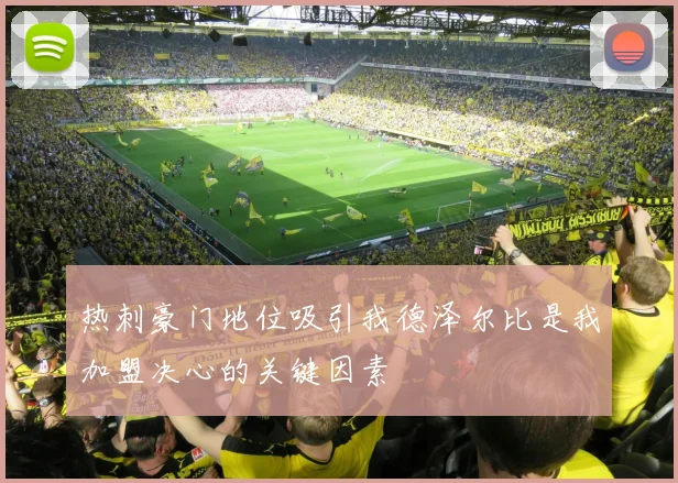 热刺豪门地位吸引我德泽尔比是我加盟决心的关键因素