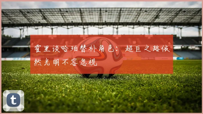 霍里谈哈珀替补角色：超巨之路依然光明不容忽视